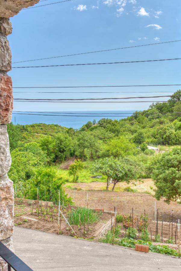 Vila Stari Mlin Ivanovici Exterior foto