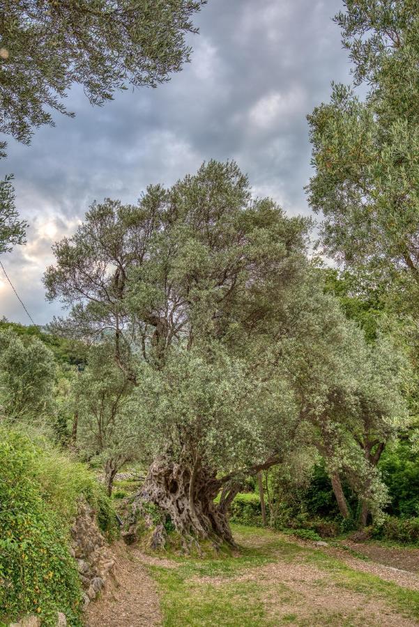Vila Stari Mlin Ivanovici Exterior foto